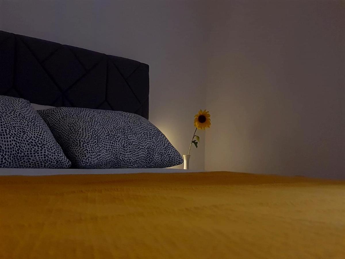 Casa Bella - Vracar Lejlighed Beograd Eksteriør billede